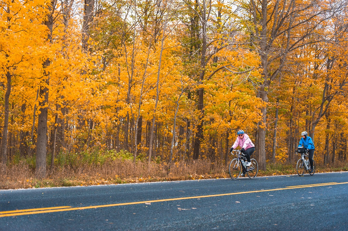 cycling along fall colours