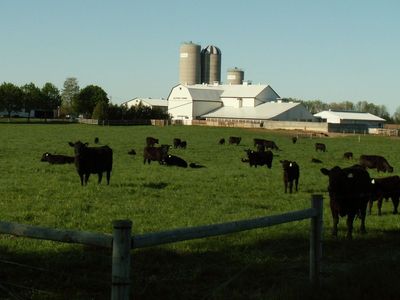 Alstein Farms