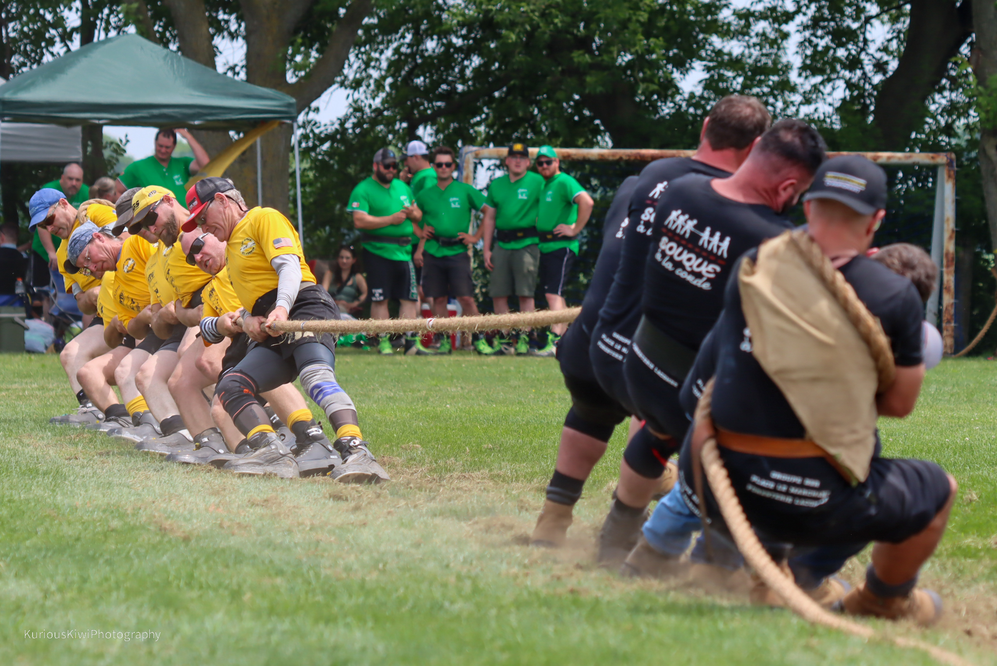 Embro Highland Games tug of war