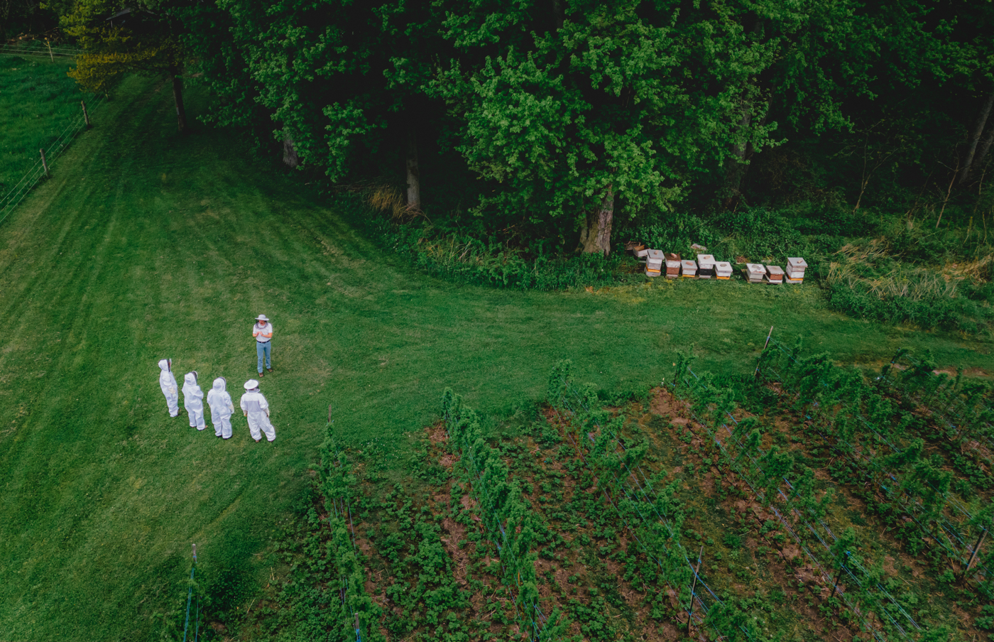 Birds eye view of farm with beehives in the distance