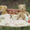 Teddy Bear Tea Party