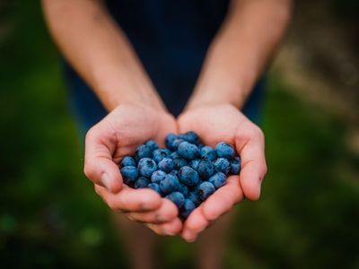 How to Pick Your Own: the ins and outs of picking-your-own berries this summer