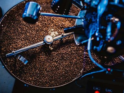 The Roasting Lab: Learn the Science of Roasting Coffee with Elio Caporicci of Early Bird Coffee