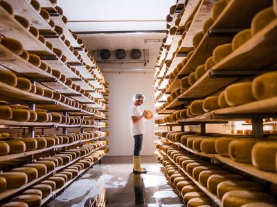 Gunn's Hill Artisan Cheese: pull over for award-winning local cheese