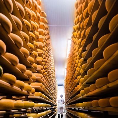 Cheese & Other Dairy