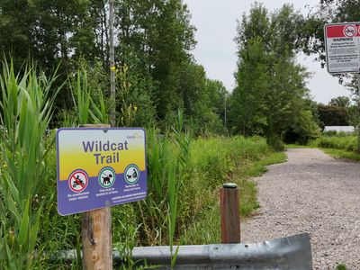 Wildcat Trail - 1.7km