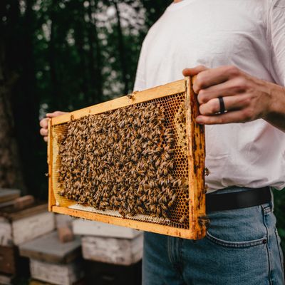 Honey, Maple Syrup & Grains