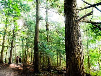 3 Hiking Trails in Southern Ontario: Get off the beaten path in Oxford County